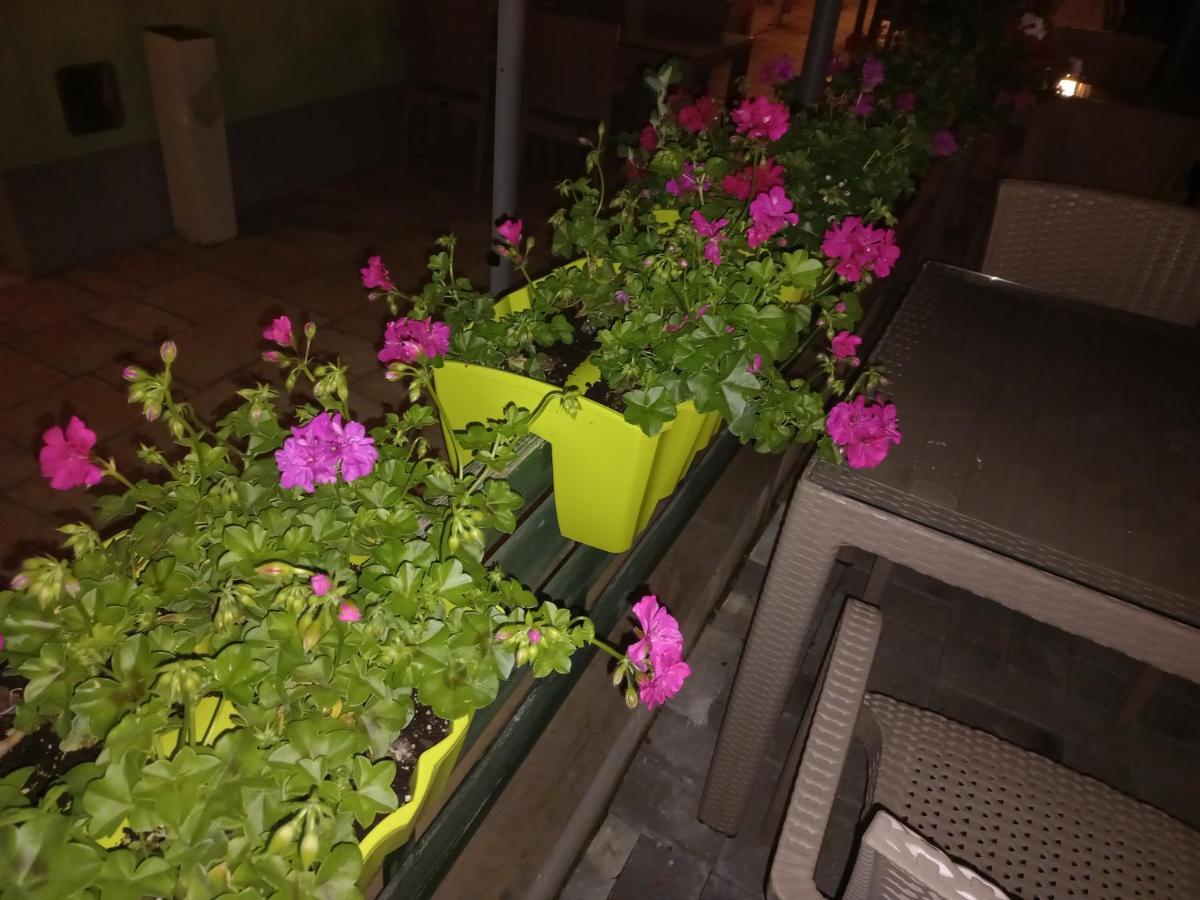 Apartments Valentino Ohrid Exterior foto